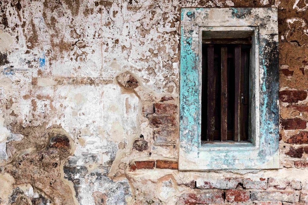 How to spot mold development