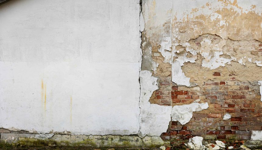 Mold Growth Signs of Water Damage in Walls