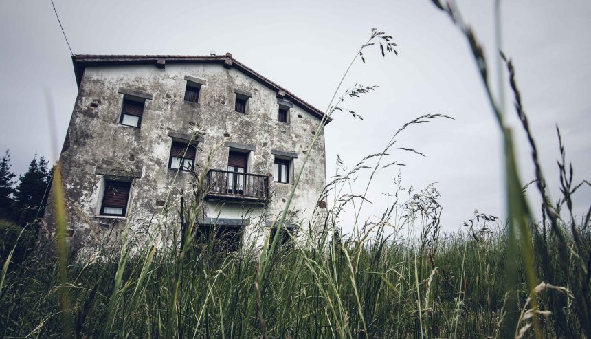 Understanding Mold Damage Causes, Effects, and Solutions