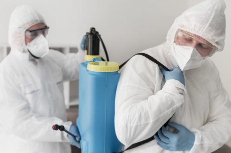 What Do Mold Specialists Do and Why You Need Them