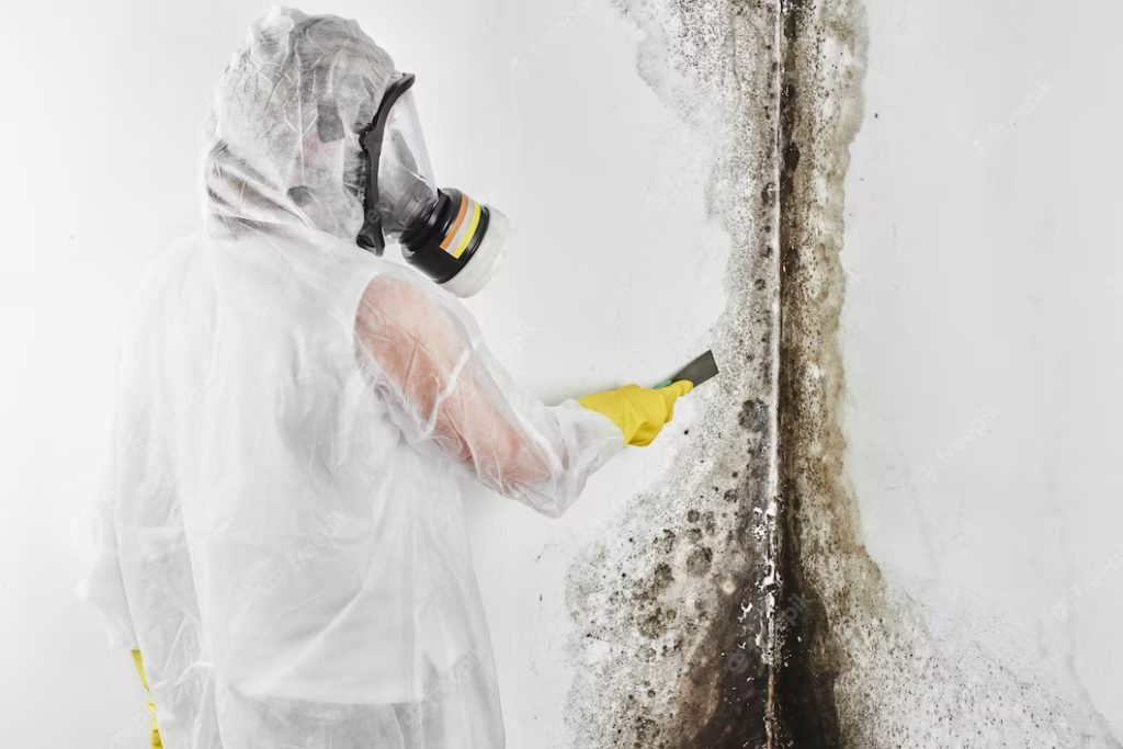 Mold Remediation