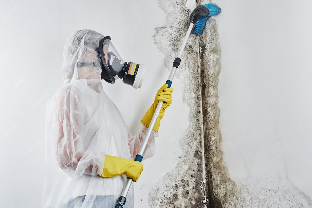 Pembroke Pines Mold Removal: A Homeowner’s Survival Story