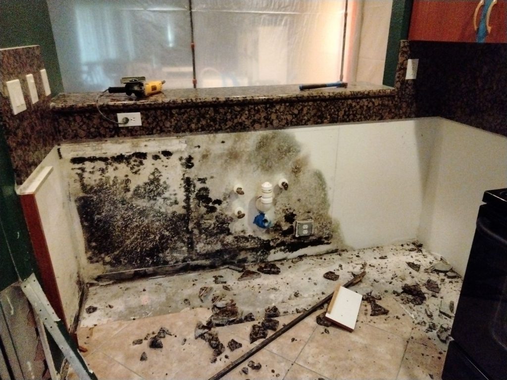 Mold removal and remediation in Miami-Dade