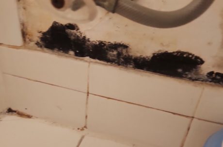 black mold on wall