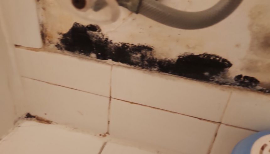 black mold on wall