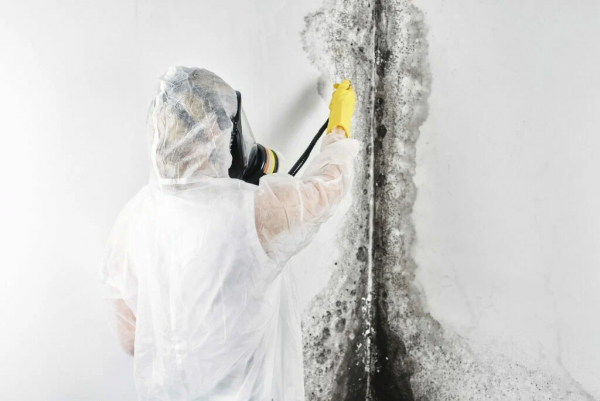Mold Remediation in Fort Lauderdale