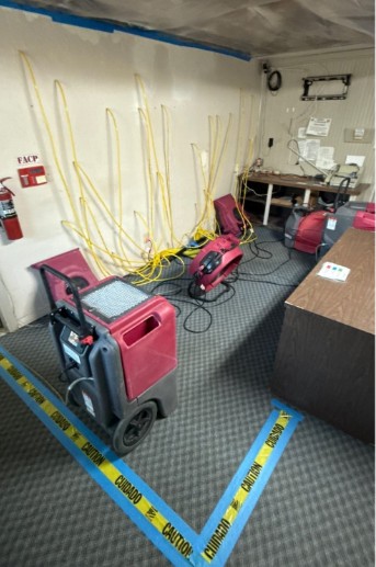 Mold Remediation Fort Lauderdale: 5 Critical Things Property Managers & HOA Boards Must Know