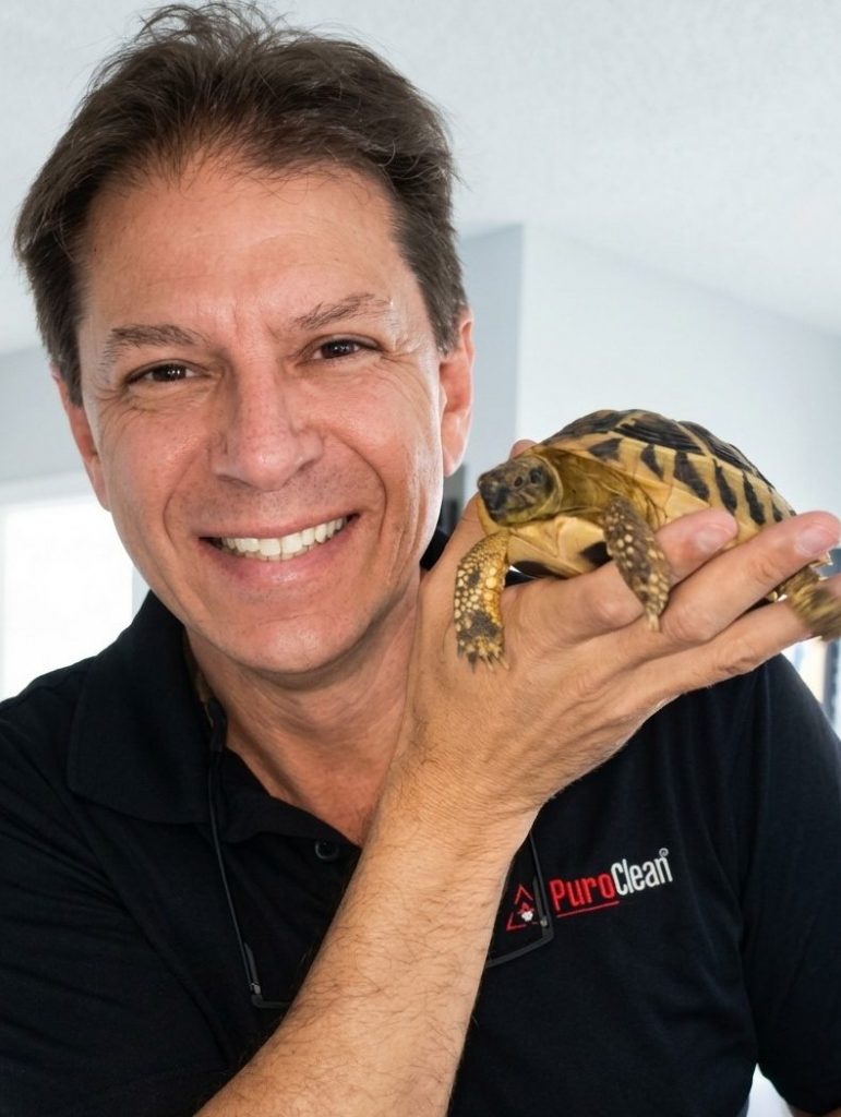 Mold exposure in Pets in Fort Lauderdale