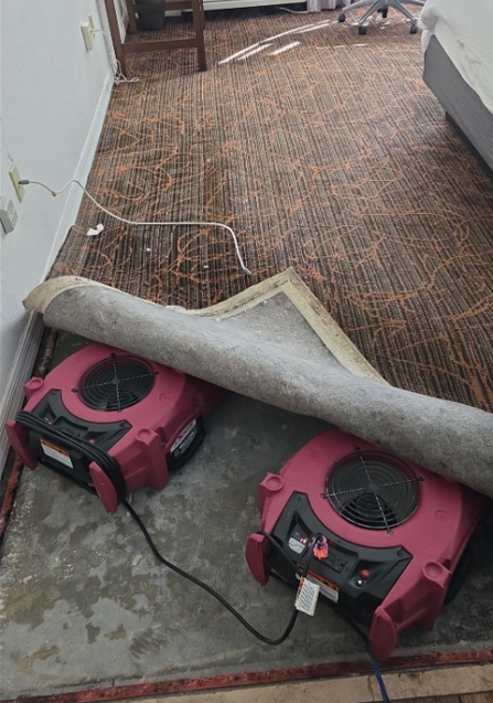 Hotel Mold Remediation Fort Lauderdale