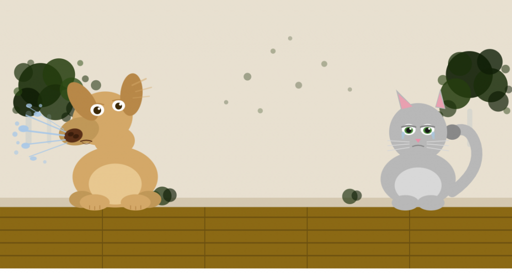 Mold Exposure in Pets in Fort Lauderdale: What Homeowners Need to Know