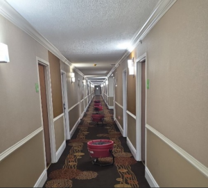 mold remediation Fort Lauderdale property managers PuroClean. PuroClean water extraction condo Hallandale Beach FL