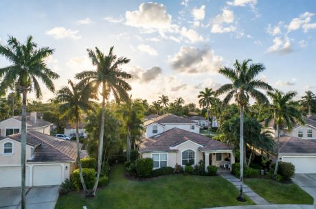Hantavirus in South Florida: Facts, Risks & Professional Biohazard Cleanup