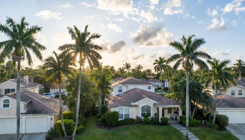 hantavirus in south florida rodent droppings biohazard remediation