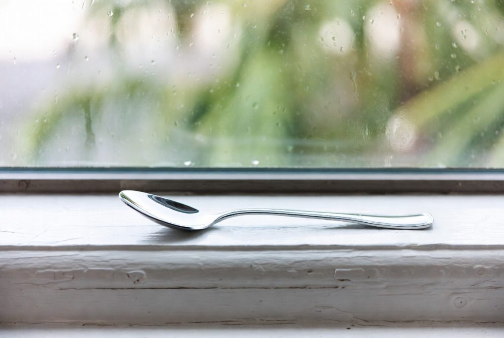 Mold Removal in Fort Lauderdale: 8 Costly Mistakes That Make Mold Worse