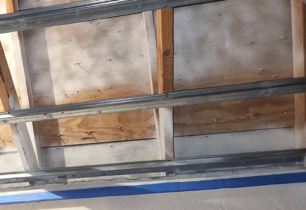 ceiling mold removal