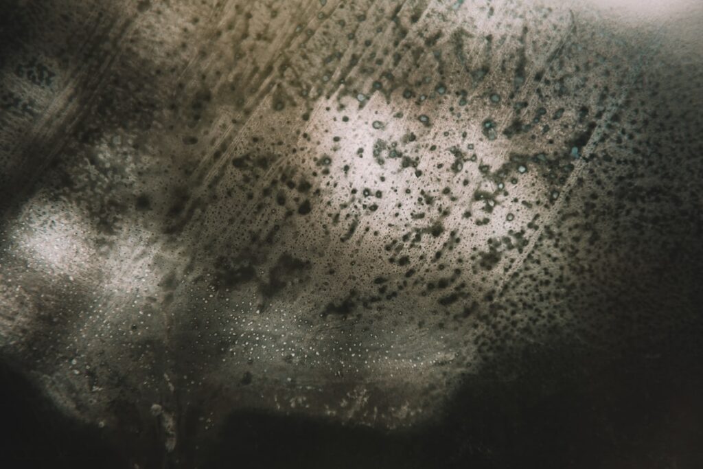 The Invisible Threat Understanding Mold Spores in the Air