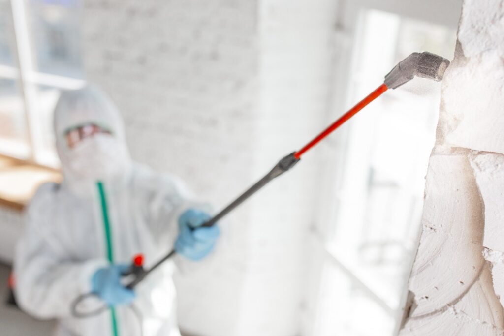 Everything You Need to Know about Airborne Mold