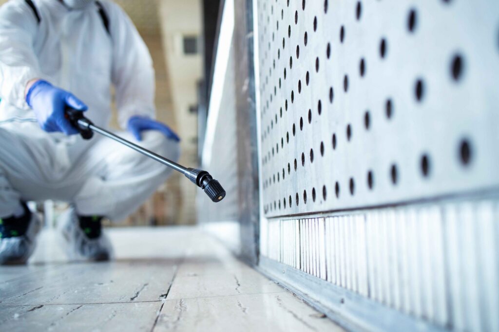 Mold Test Kit vs. Professional Mold Testing