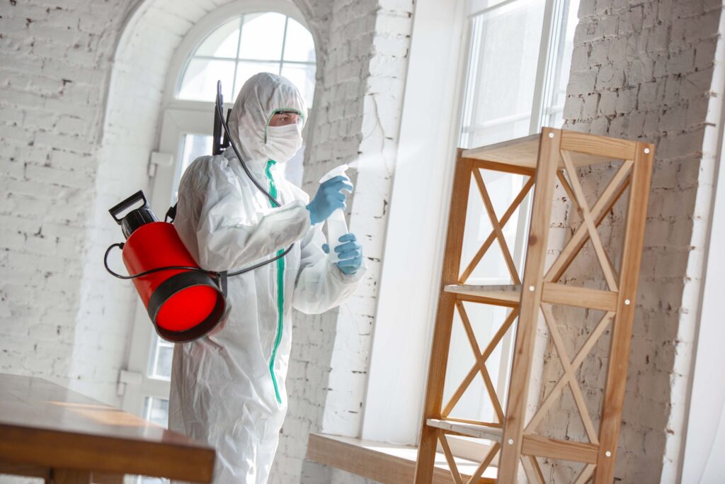 Mold Inspection Cost How Much Should You Expect to Pay