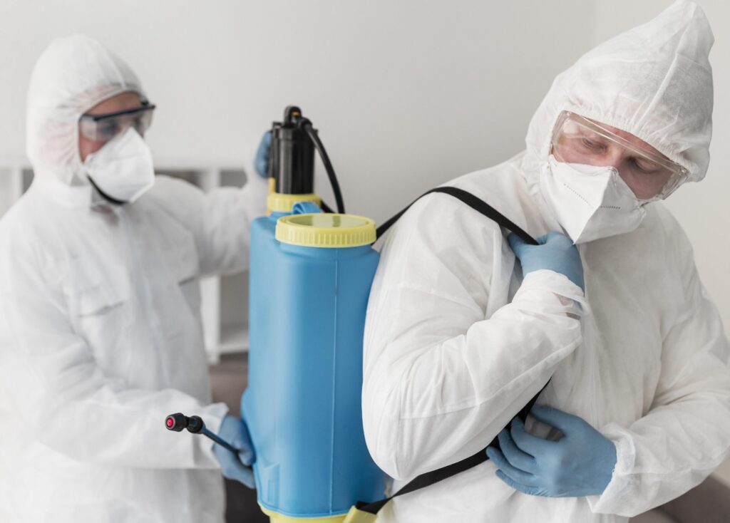 What Do Mold Specialists Do and Why You Need Them