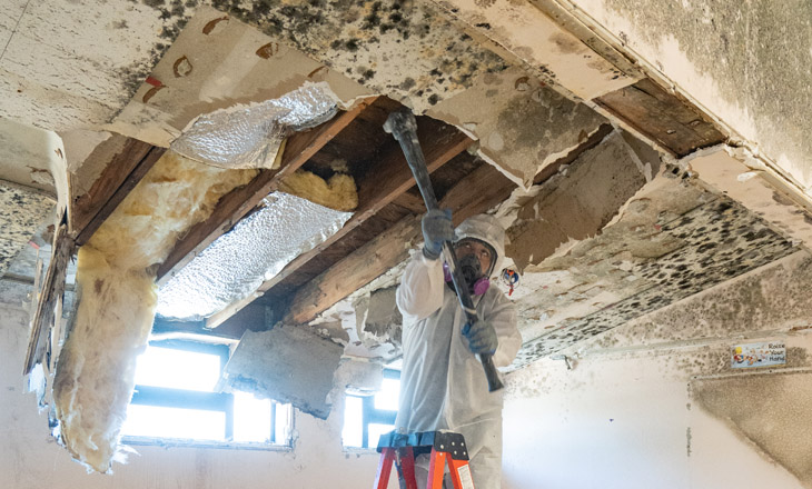 Mold growth from water damage caused by frozen pipes – learn how to prevent frozen pipes and avoid mold issues