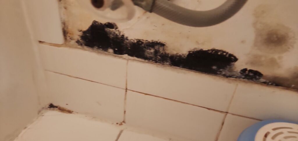 black mold on wall