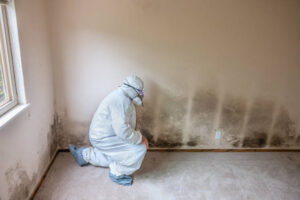 A person in a hazmat suit inspects severe black mold growth on the walls of a room.