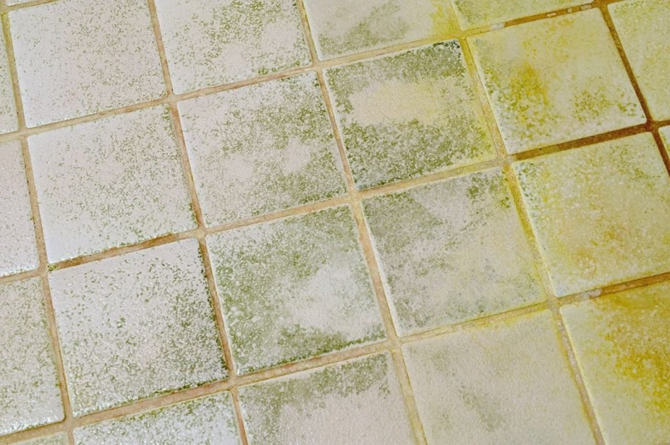 White square tiles show extensive green and yellow mold and mildew discoloration. this requires mold removal in Hartburg