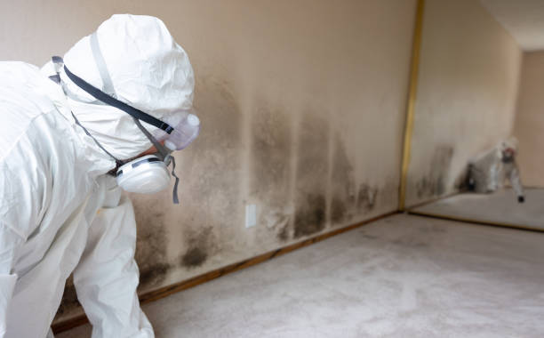 A person in a white hazmat suit and respirator inspects severe black mold on an