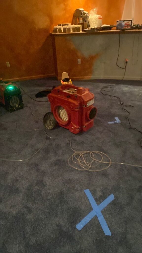Red and green industrial fans dry a blue carpet in a room with orange walls.