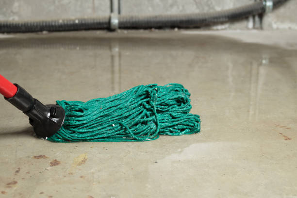 A green string mop lies on a wet concrete floor, ready to clean a water spill.