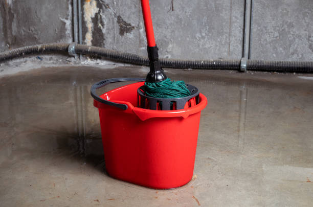 A red mop bucket with a green mop stands on a wet concrete floor in a basement