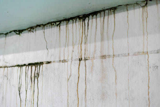 Dark, dirty water stains and mold streak down a white wall from a light blue