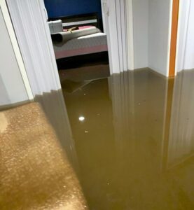 Murky brown floodwaters cover the floors of a house, extending into a visible bedroom.