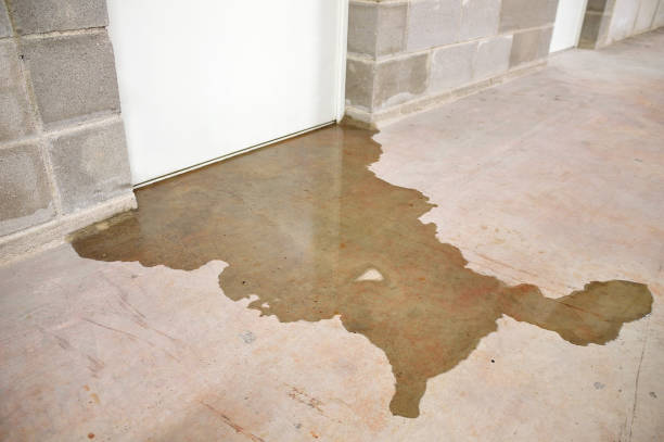 Dirty water has leaked onto a concrete basement floor from under a white door. TITLE