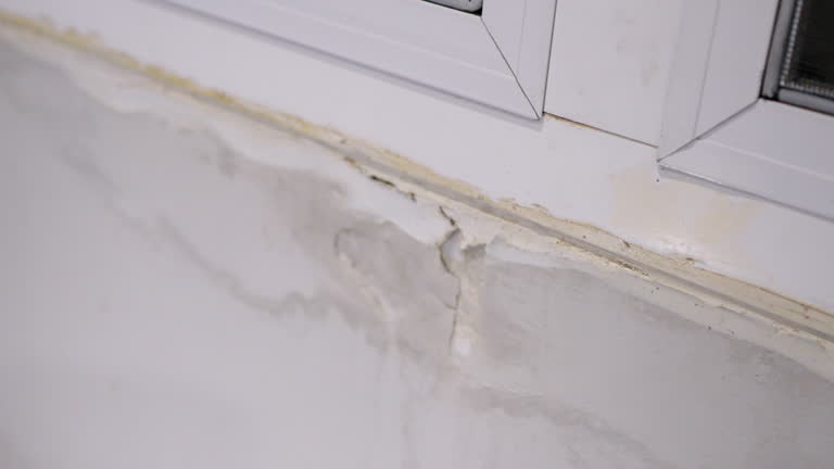 Significant water damage and peeling paint are visible on a wall below a window.