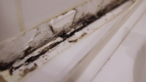 Severe black mold and grime accumulate in a dirty white crevice, highlighting neglect.