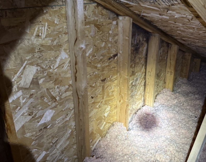 Unfinished attic with OSB walls, wooden studs, and pink insulation, revealing a dark moisture. Crawlspace mold