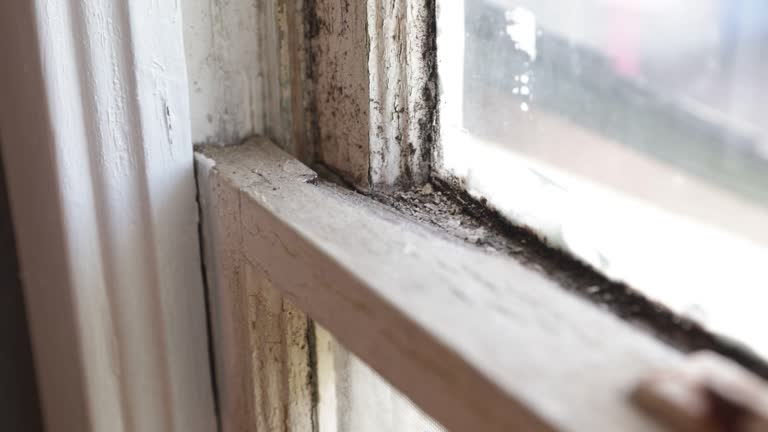Peeling white paint and black mold cover an old, dirty window frame.