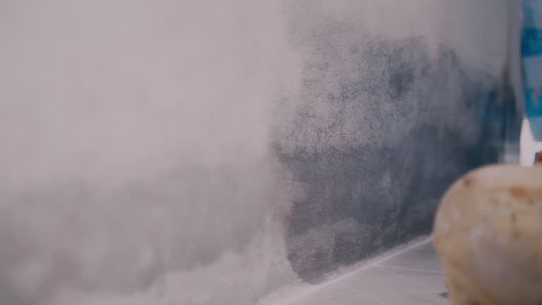 A wall is being painted with a light primer, showing a clear division from the darker surface. white mold in basement