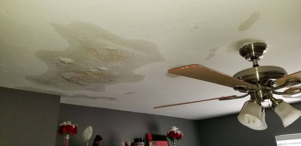 A large, discolored water stain with bulging drywall is visible on a white ceiling next to a