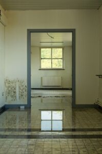 A neglected room with a large floor puddle reflecting a window, showing mold on the walls.