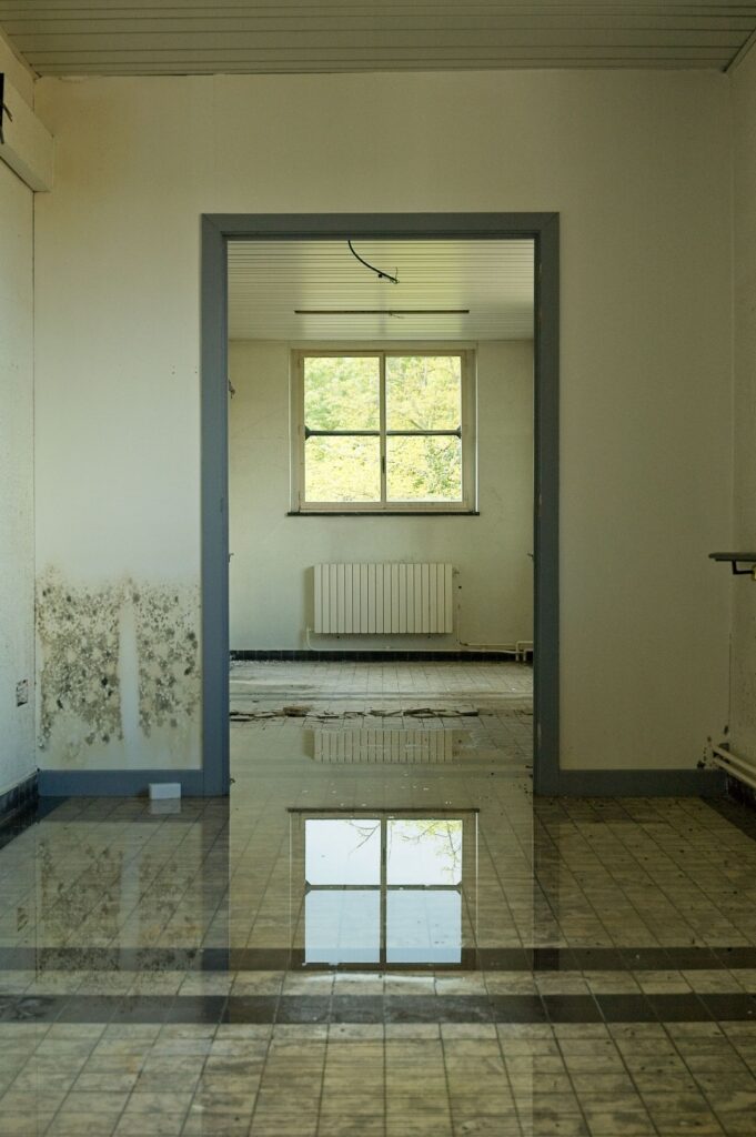 A neglected room with a large floor puddle reflecting a window, showing mold on the walls.