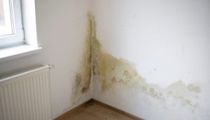 Water damage on wall