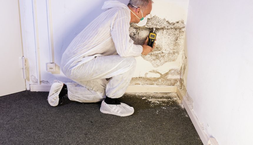 Mold remediation in Charlotte