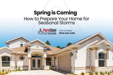 Seasonal storms spring