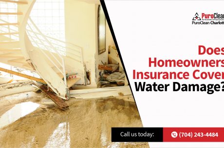 Insurance Cover