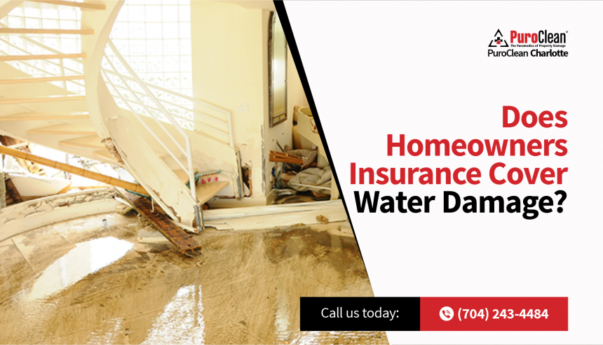 Insurance Cover