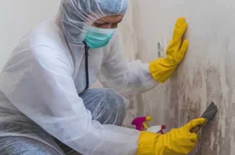Does Homeowners Insurance Cover Mold Removal_