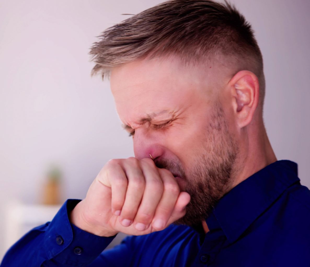 How Do You Permanently Remove Odors From A House In Pineville, NC?